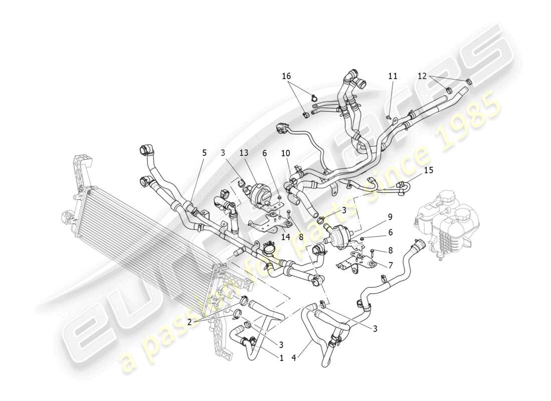 maserati ghibli fragment (2022) sistema di raffreddamento: diagramma delle parti di nourice e linee