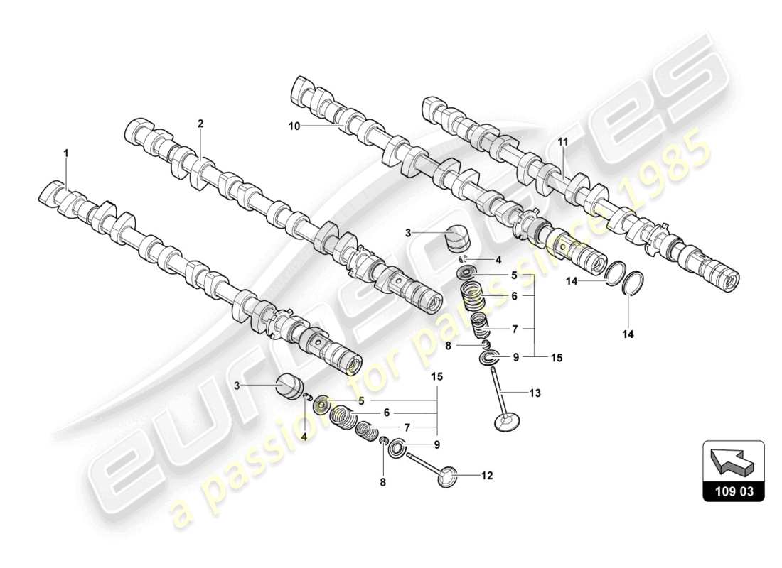 lamborghini 2016 (lp750-4 sv coupe) schema delle parti albero a camme, valvole