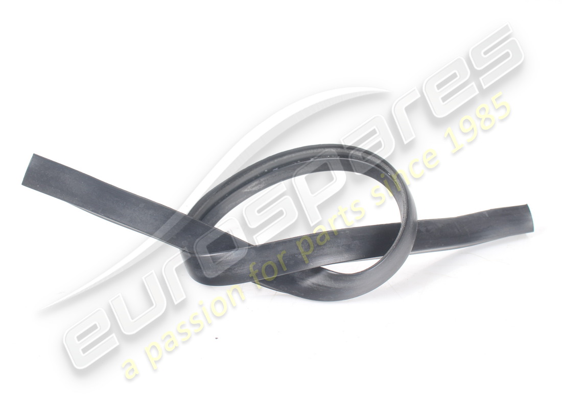 GUARNIZIONE ANTERIORE USATA Ferrari PER SCUDO LATERALE. NUMERO PARTE 83598900 (1)