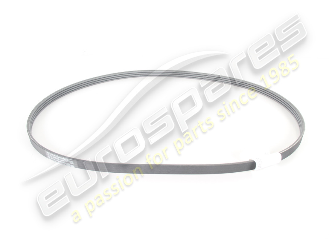 nuovo lamborghini klimakompressore a cinghia poly-v. numero parte 0p2260849 (1)