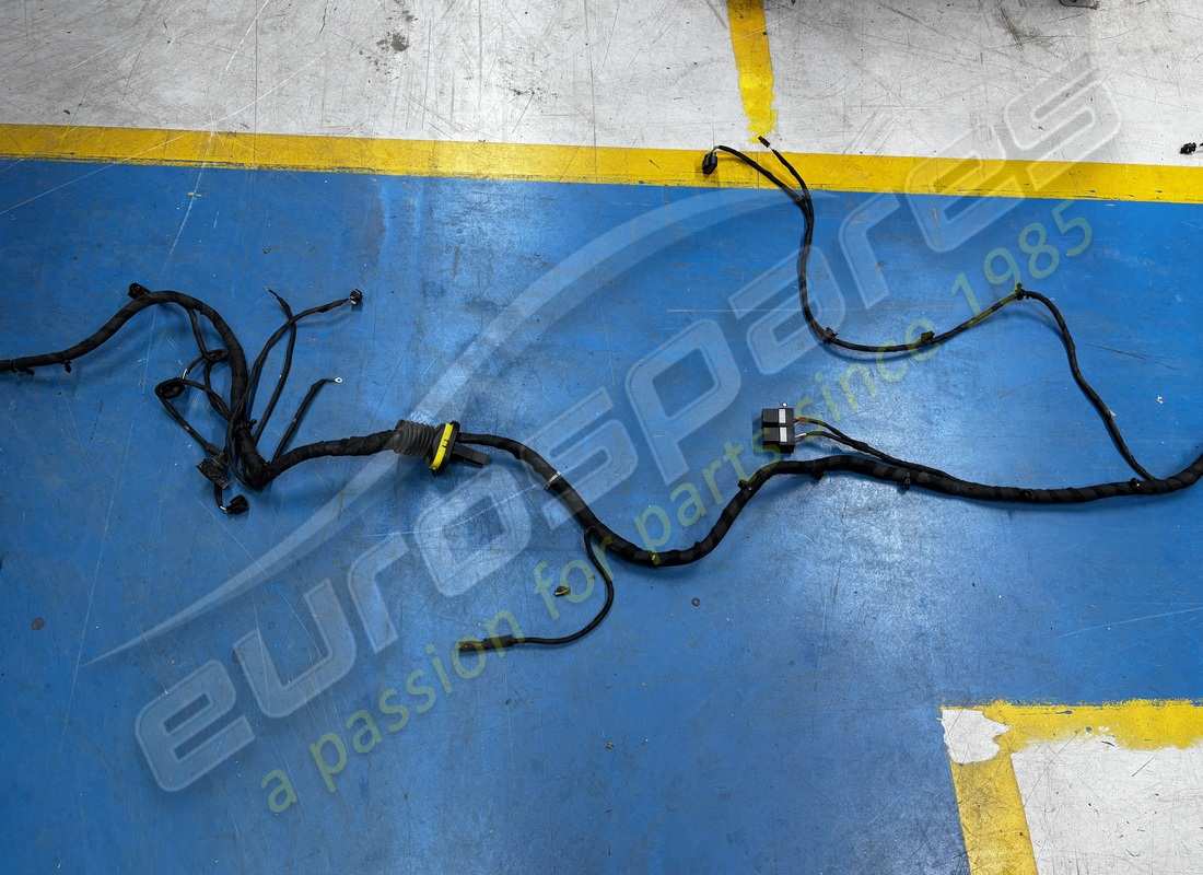 cavo posteriore ferrari danneggiato. numero parte 338456 (2)