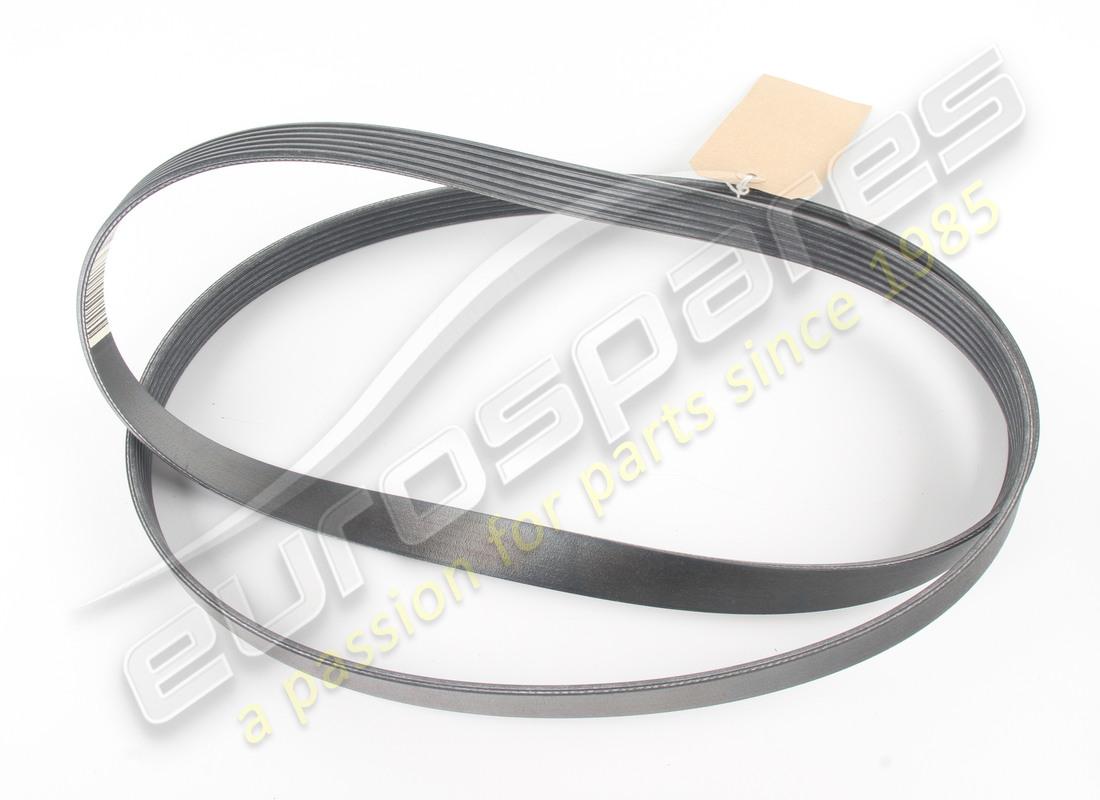 nuove costine ferrari cinghia tipo pv-k6. numero parte 919627 (1)