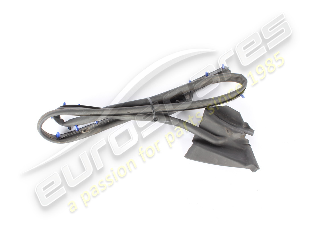 GUARNIZIONE SOTTOPORTA ANTERIORE DX USATA Maserati NUMERO PARTE 670002087 (1)