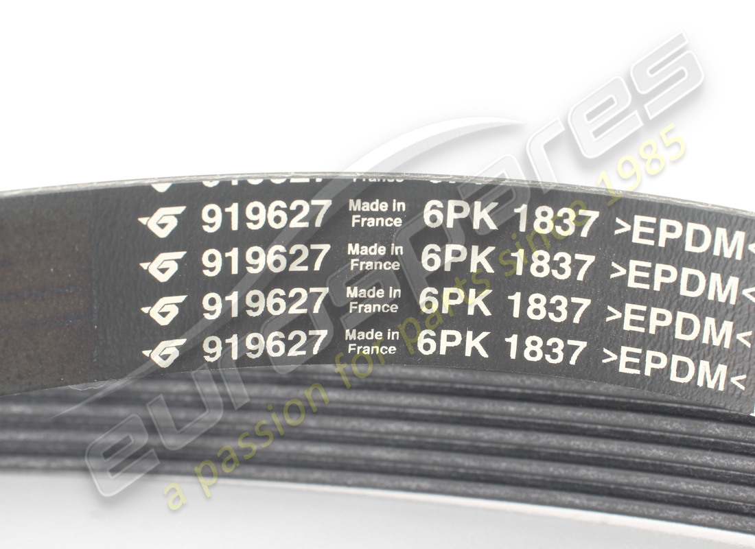 nuove costine ferrari cinghia tipo pv-k6. numero parte 919627 (2)