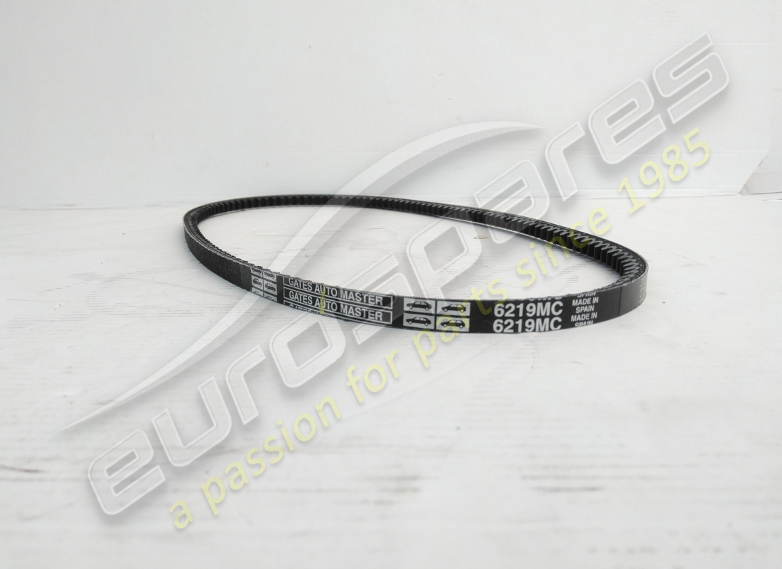 nuova cintura eurospares. numero parte 125557 (2)