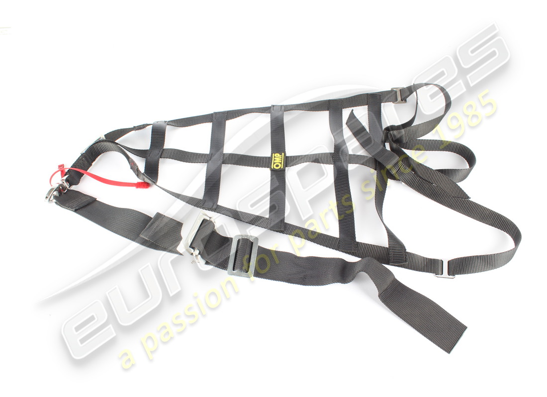 RETE DI PROTEZIONE CASCO LH USATA Ferrari NUMERO PARTE 88923700 (1)