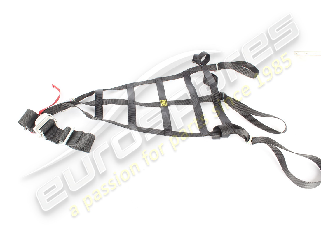 rete di protezione casco lh usata ferrari. numero parte 88923700 (1)
