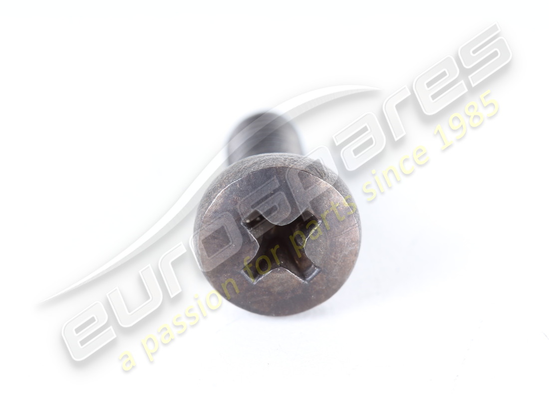 nuova vite ferrari. numero parte 13274117 (2)