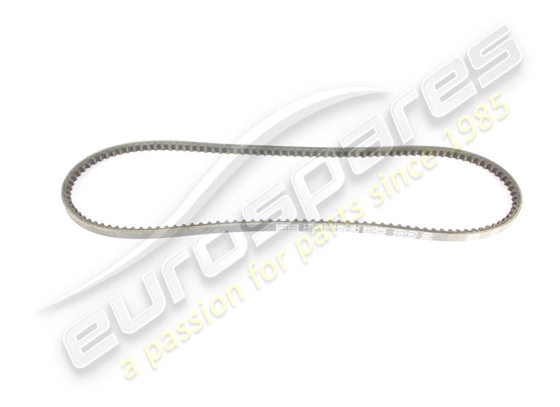 nuova cinghia ventilatore ferrari. numero parte 78169 (1)