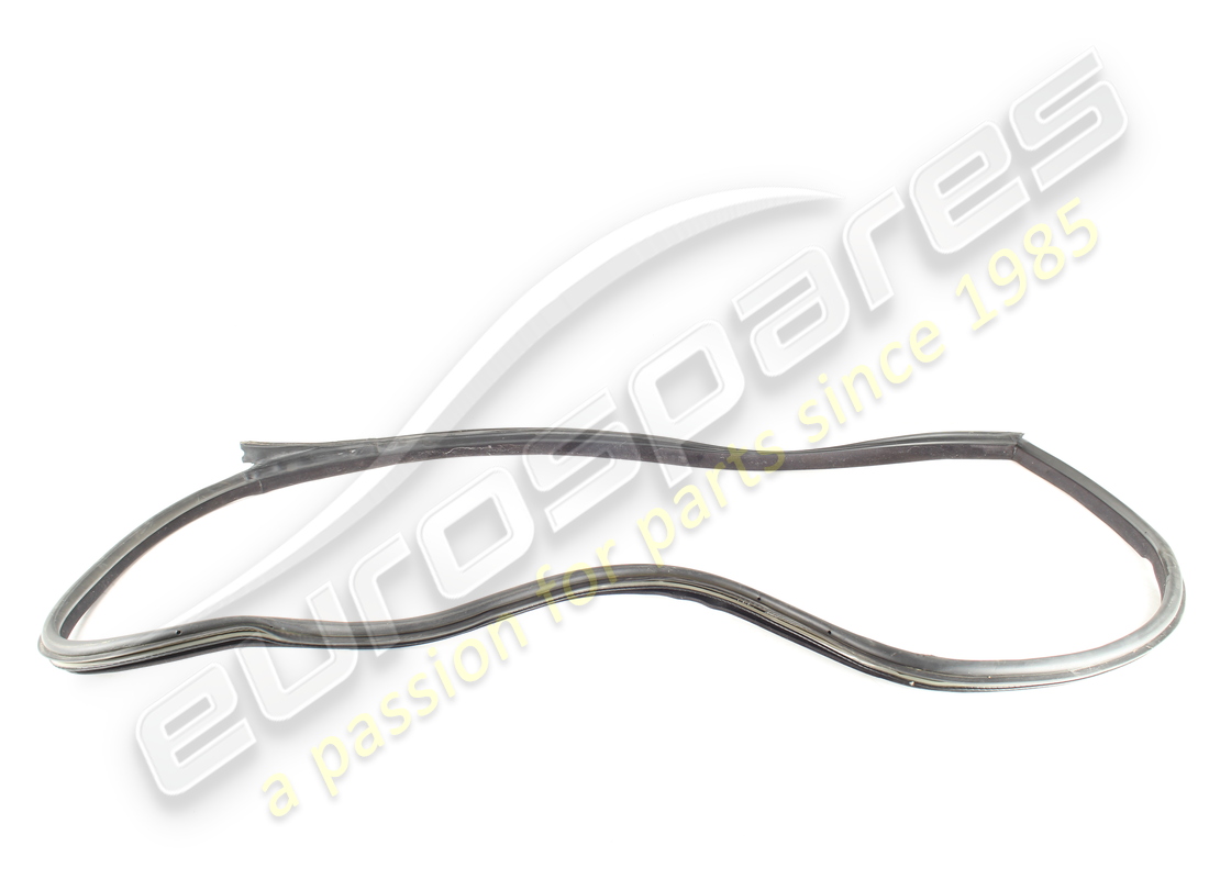 GUARNIZIONE IN GOMMA PORTA SINISTRA USATA Maserati NUMERO PARTE 384500159 (1)