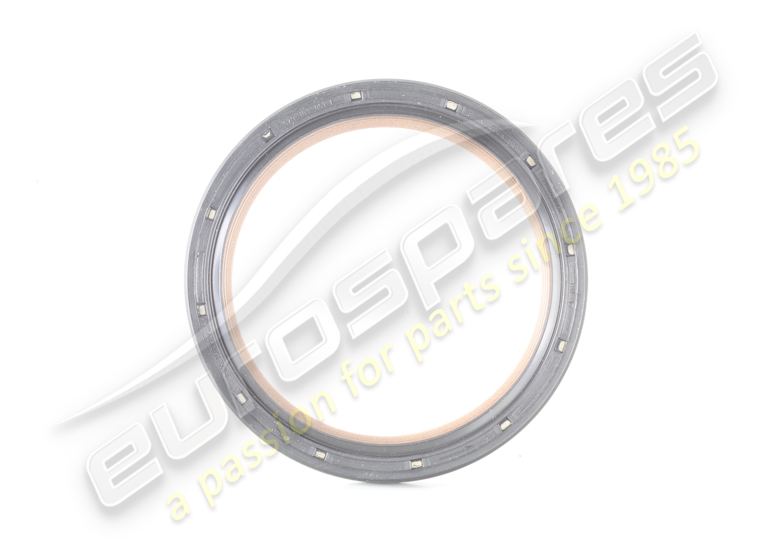 NUOVO PARAOLIO DELL'ALBERO BENTLEY. NUMERO PARTE 079103051F (2) nuovo paraolio dell'albero bentley. numero parte 079103051f (2)