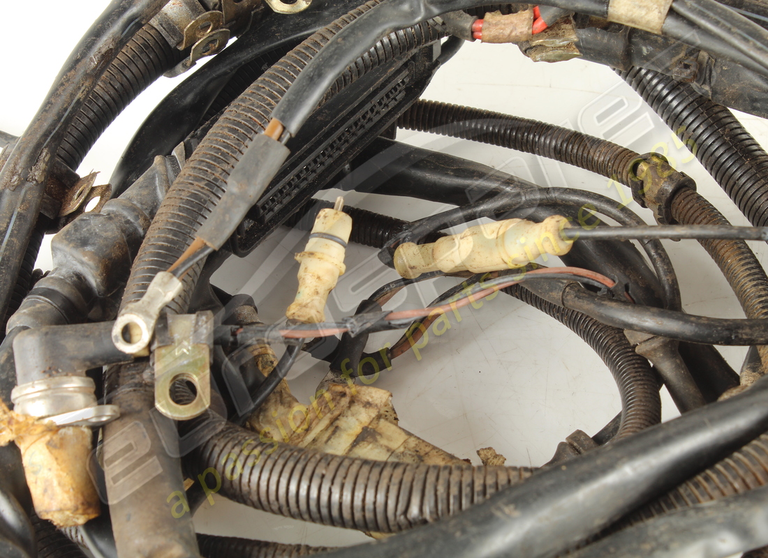 usati ferrari cavi. numero parte 124372 (3)