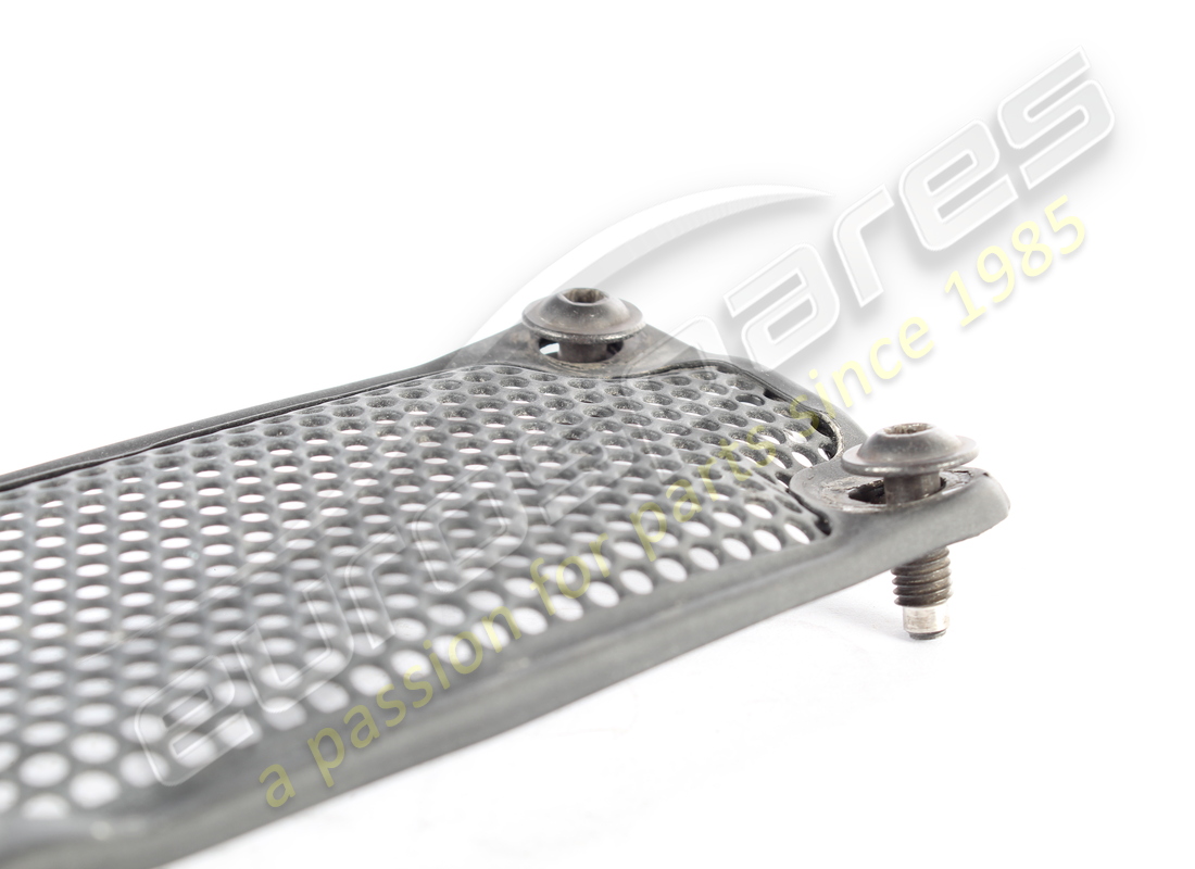 RIVESTIMENTO IN RETE COSMETICA FERRARI USATO. NUMERO PARTE 789219 (4) rivestimento in rete cosmetica ferrari usato. numero parte 789219 (4)