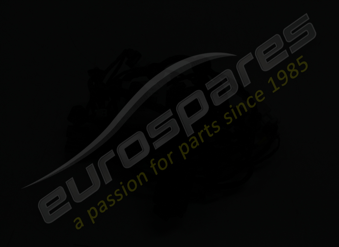 usato ferrari cavo porta lato passeggero. numero parte 846150 (3)