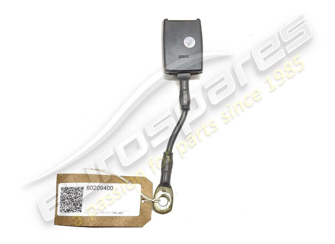 Ferrari CONDUCENTI SULLO SCHIENALE USATI. NUMERO PARTE 60209400 (1)