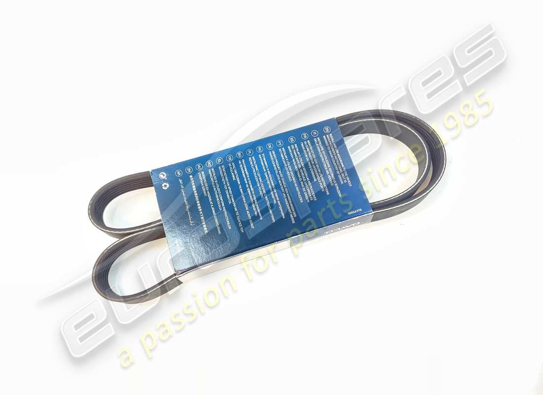 NUOVA POMPA DELL'ACQUA E CINGHIA DEL GENERATORE OEM. NUMERO PARTE 201446 (1)