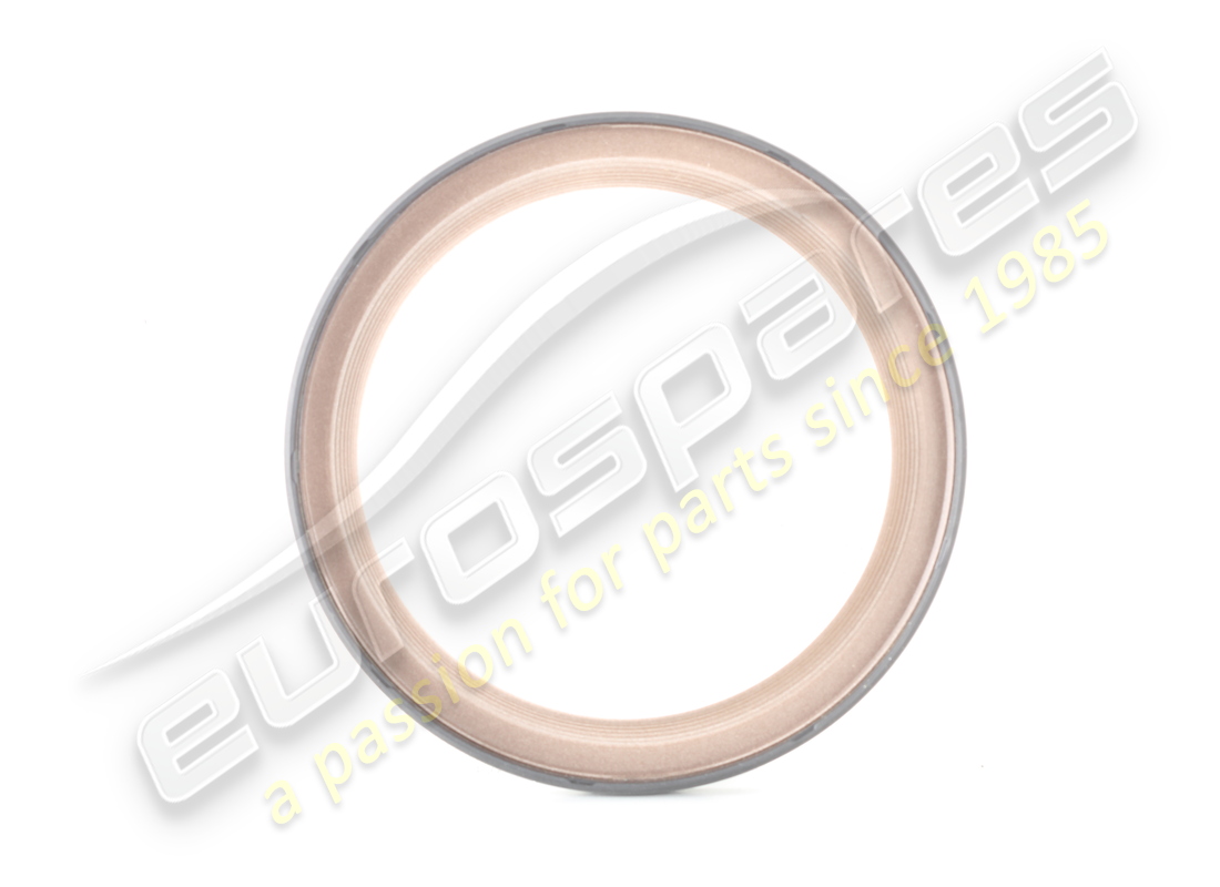 NUOVO PARAOLIO DELL'ALBERO BENTLEY. NUMERO PARTE 079103051F (1) nuovo paraolio dell'albero bentley. numero parte 079103051f (1)