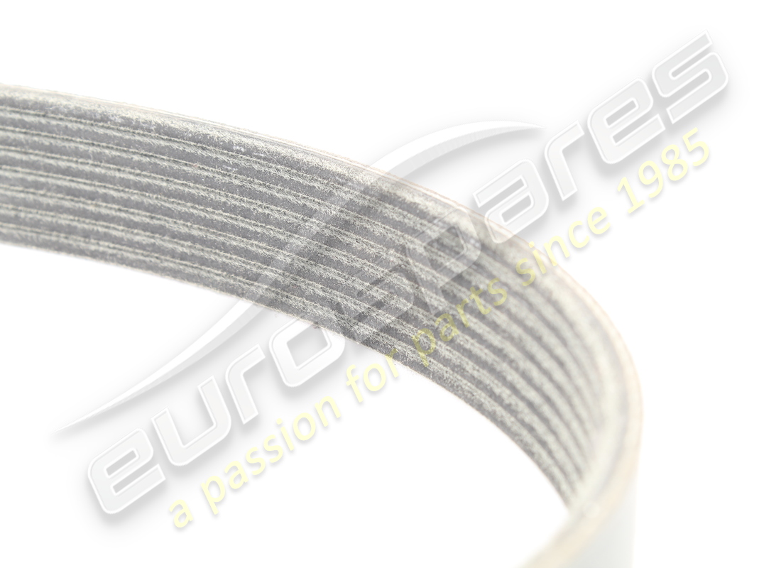 NUOVA CINGHIA FERRARI POLY-V K8. NUMERO PARTE 199827 (3) nuova cinghia ferrari poly-v k8. numero parte 199827 (3)