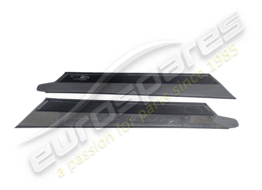 Eurospares PIASTRE DI PROTEZIONE IN CARBONIO USATE (COPPIA). NUMERO PARTE 65619010 (1)