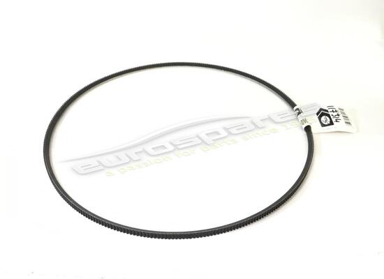 nuovo ferrari cinghia alternatore dx codice articolo 117314
