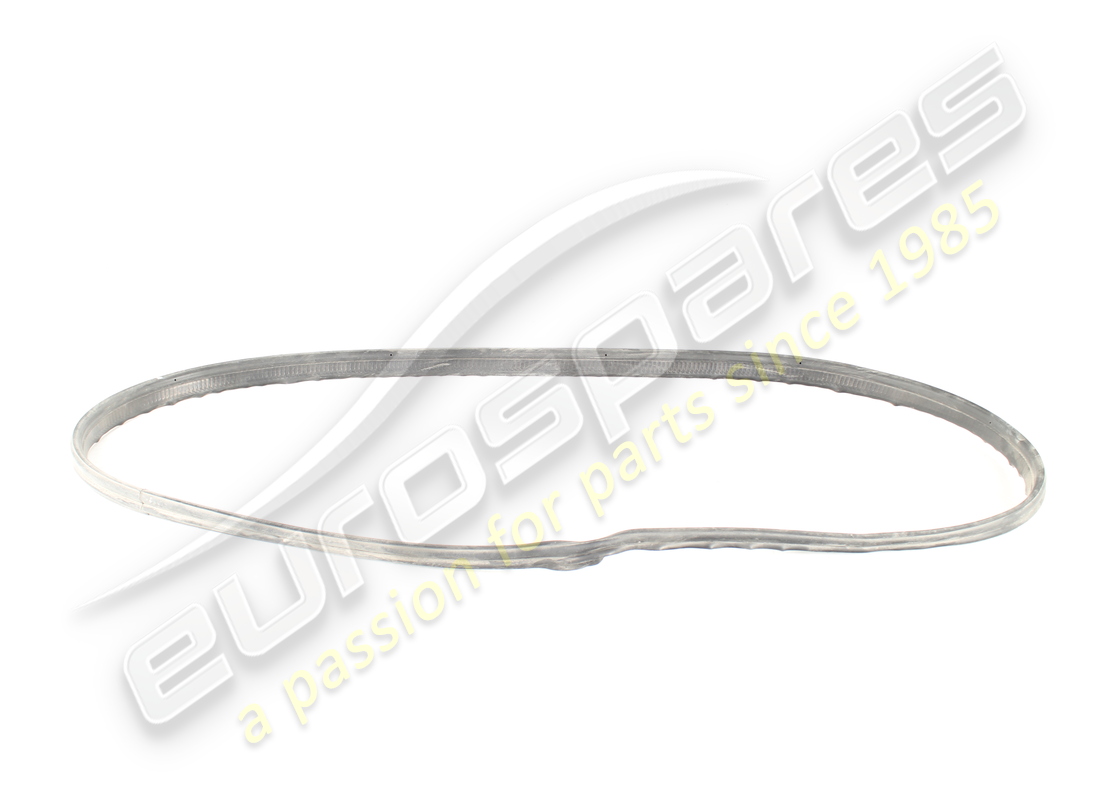 GUARNIZIONE PER VASCA DEL VANO BAGAGLI USATA Ferrari. NUMERO PARTE 819615 (1)