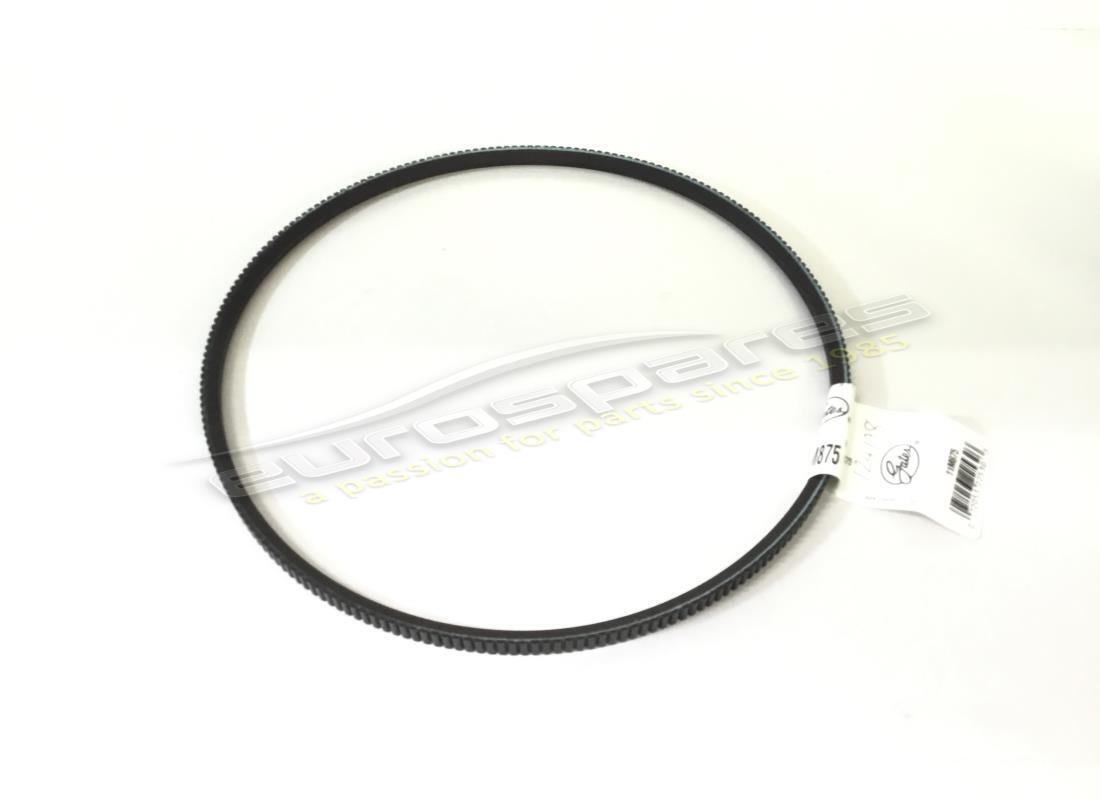 nuova cinghia compressore oem. numero parte 124108 (1)