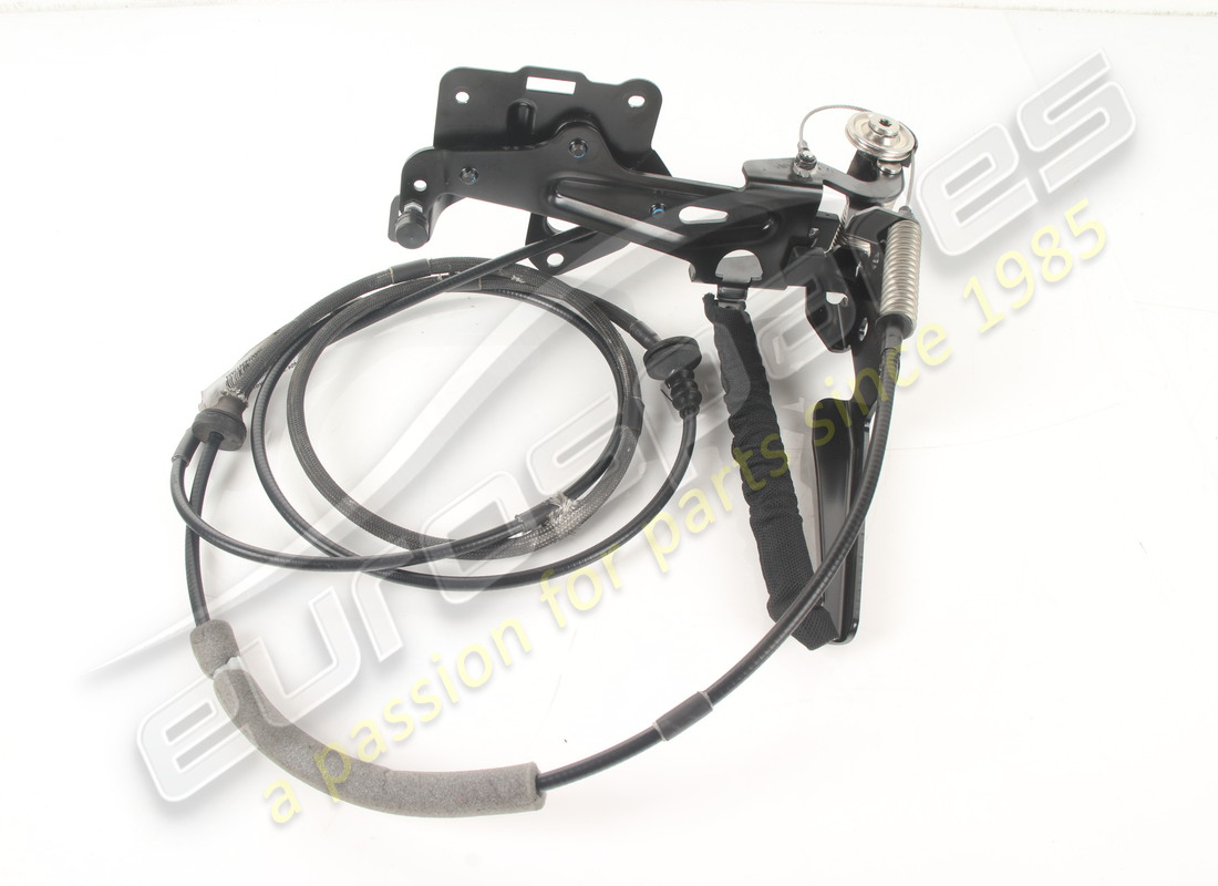 SPORTELLO COMPLETO SINISTRO Ferrari USATO. NUMERO PARTE 801214 (1)